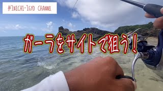 『1日1魚チャンネル』狙った獲物は釣れませんw