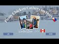 Pinoy Chicken Catchers on Duty 🇵🇭// Winterstorm 2024 🇨🇦 Buhay OFW SA CANADA 🍁