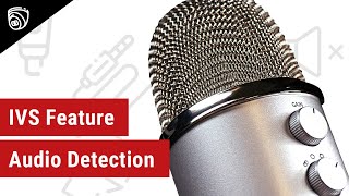 IVS Feature - Audio Detection