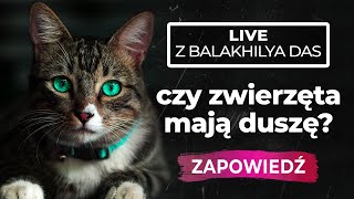 ZWIASTUN LIVE: CZY ZWIERZĘTA MAJĄ DUSZĘ