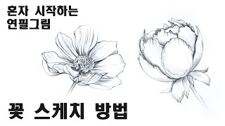 초보자를 위한 꽃 스케치 / 꽃 쉽게 그리는 방법, 식물스케치 Draw flowers with a pencil