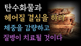 당뇨병에 걸린 불량 의사의 고백/나를 붕괴시키는 탄수화물 중독/지긋지긋한 인슐린 주사와 이별하자/비만의 원인/익숙한 식단과 결별하라/탄수화물과 헤어질 결심