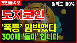 [도지전망] \