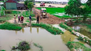 Prepare rebuild new road crossing the field by expert driver dozer push soil in the water & 5t truck