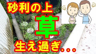 [外構]砂利にして後悔　1年でここまで草が生えるなんて