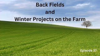 Exploring our back Fields and Winter projects on the Farm,  The Accidental Farmer, Episode 37