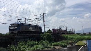 【JR東海道線】8865レ（EF66   サメ）を初めて撮影した日！