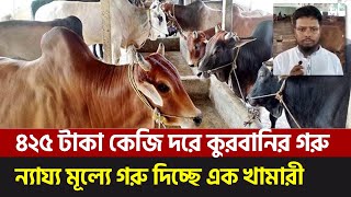 ৩৫০ টাকা কেজি দরে কুরবানির গরু || Cumilla Big Cow 2022