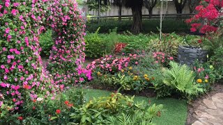 荔枝角公園 🌷愛麗絲花園  ❤️雙心形大花結超美🤩 打卡  Lai Chi Kok Park, Hong Kong（短版）