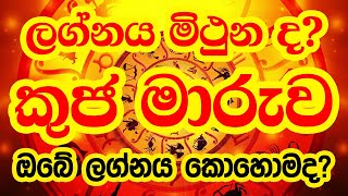 ලග්න රැසකට අති ප්‍රභල ධන යෝග ගෙනෙමින් කුජ මාරුව මිථුන ලග්නයට කොහොමද? | Lagna Palapala