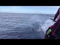 pole and line tuna fishing in maldives