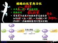 10601高一基礎生物1 3 07輔因子的性質與活性一公