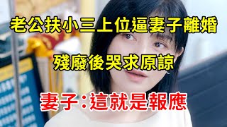 老公扶小三上位逼妻子離婚，殘廢後哭求原諒，妻子：這就是報應 | 翠花的秘密