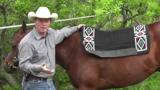 Choosing a Quality Saddle Pad