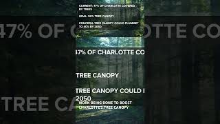 How are people working to preserve the #treecanopy in #Charlotte? #wcnc #shorts