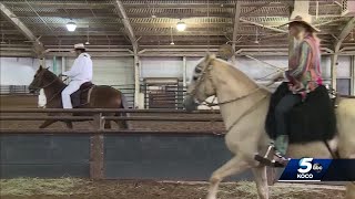 Oklahoma State Fair hosts North American Peruvian Horse Association National Show