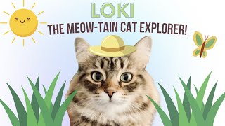 Siberian Cat explores backyard! Presenting Loki the meow-tain cat!!