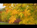 beautiful relaxing music peaceful soothing instrumental music