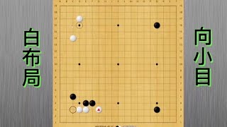 围棋实战技巧解说：白棋向小目布局的后续变化4。