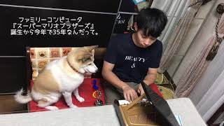 ピアニストと元保護犬の日常 〜スーパーマリオブラザーズ誕生35周年を記念して〜