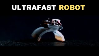 Ultrafast Small Scale Soft Electromagnetic Robots