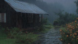 Fall Asleep Instantly with Rain Sounds | Relaxing Rainfall to Beat Insomnia