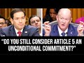 WHOA: Rubio Confronted With The NATO Law He Helped PASS