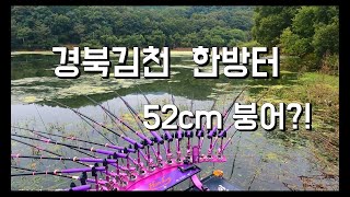 몇일전 5짜붕어가 출몰한곳 !   붕어보기 정말 힘든곳 !  잡으면 4자중반  Korea fishing