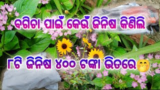 କେଉଁଠି ପାଇବେନାହିଁ ଏତେ ଶସ୍ତାରେ ll ବଗିଚା କାମକୁ ଆହୁରି ସହଜ କରିଦେବ ଏହି ୮ଟି ଜିନିଷ ll GARDENING TOOLS