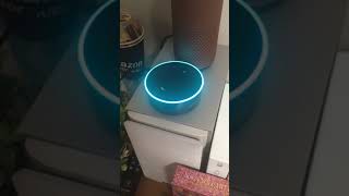 Amazon Echo Alexaスキル作ってみた