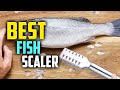 7 Fish Cleaning Tools and Fish Scalers in 2022