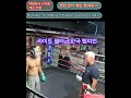 백발복서 스파링 레슨 31탄 변화 없이 뻗는 잽 배우기 복싱 복싱시합 스파링 복싱경기 shorts ufc mma sports boxing 복린이 펀치 주먹