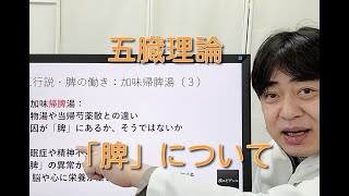 五臓理論、「脾」の働きと特徴について