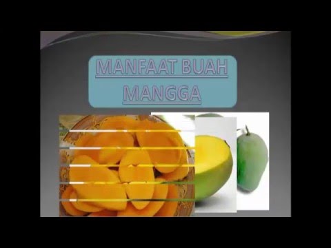 Manfaat Buah Mangga Untuk Kesehatan - YouTube