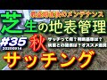 秋口の芝生サッチング徹底解説　便利な道具と効果的な使い方　秋のサッチとり判断は？　芝活2020#35