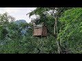 FULL VIDEO : Build a Shelter, Next to a Stream, a Tree House to Avoid Wild Animals - Triệu Tòn Lụ