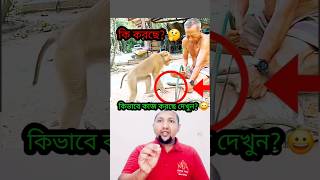 বানর দিয়ে কাজ করাচ্ছে দেখুন! 😲See the monkey in action.#monkey #work #trending #youtubeshorts.