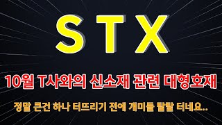 [STX 주가전망] STX 10월 T사와의 신소재 관련 대형 호재 터뜨리기 전에 ..정말 개미들 탈탈 터네요..