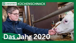 Der #Küchenschnack zum Thema: Das Jahr 2020: Bilanz einer Milchviehhalterin