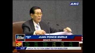 JPE welcomes COA probe of Senate funds