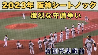 『2023年 阪神シートノック』熾烈な守備争いWBC韓国代表戦前 2023年3月7日