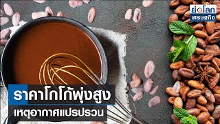 ราคาโกโก้พุ่งสูง เหตุอากาศแปรปรวน  | ย่อโลกเศรษฐกิจ 9 ก.พ.67