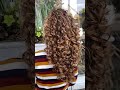 Locken Vielfalt 💗10 unterschiedliche Locken Schnitte und Lockenstärken 💗Locken Trend 2023 #curly