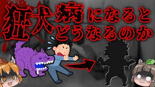 狂犬病になるとどうなるのか？｜予防ワクチン接種率70％の危険性…