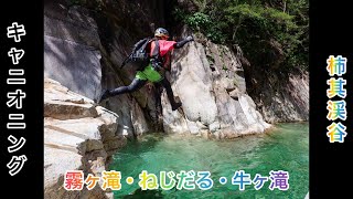 柿其渓谷🌊 長野県南木曽町🗾