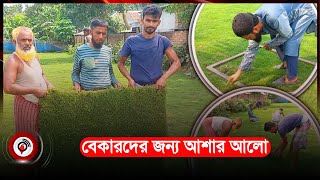 ঘাস চাষে প্রবাস ফেরত মনিরের মাসে আয় ৩ লাখ |  Chandpur |  Jago News