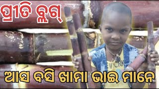 ପ୍ରୀତି ବ୍ଲଗ୍ ଆସ ବସି ଖାଏମା ଭାଇ ମାନେ କୁଶେର