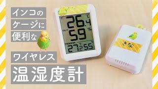 インコのケージにワイヤレス温湿度計 | 水浴びするとトサカができるインコ ［きなもも愛用のいっぴん#5］