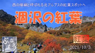 涸沢の紅葉【2021年】（2021.10.5）