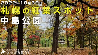 【札幌の紅葉スポット】今が見頃の中島公園｜札幌移住者のぶらぶら散歩